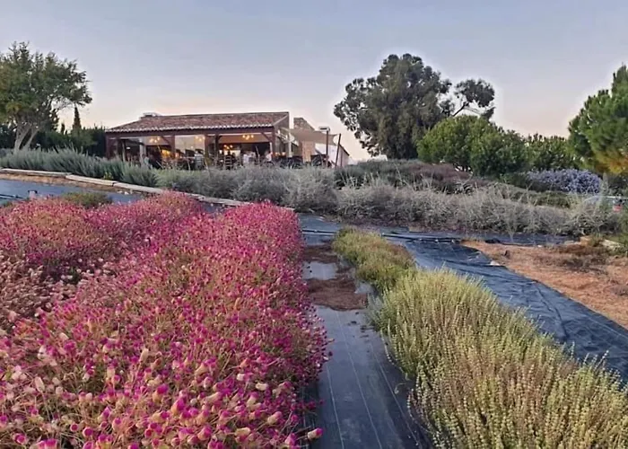 Quinta Do Mel Guest House Albufeira
